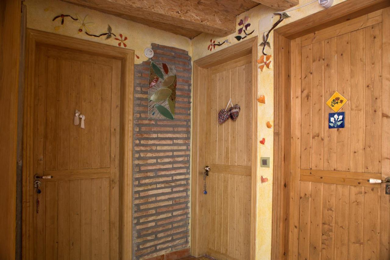 Pensjonat Casa El Pelaire Perarrua Zewnętrze zdjęcie