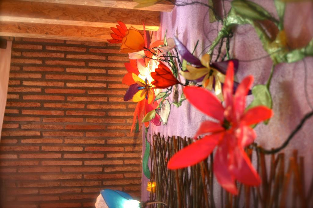 Pensjonat Casa El Pelaire Perarrua Zewnętrze zdjęcie